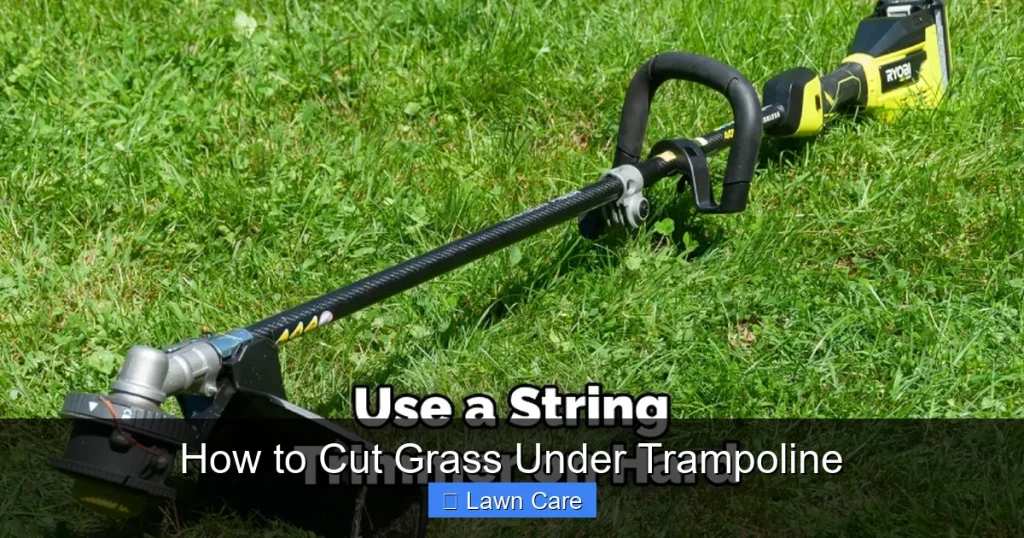 How to Cut Grass Under Trampoline