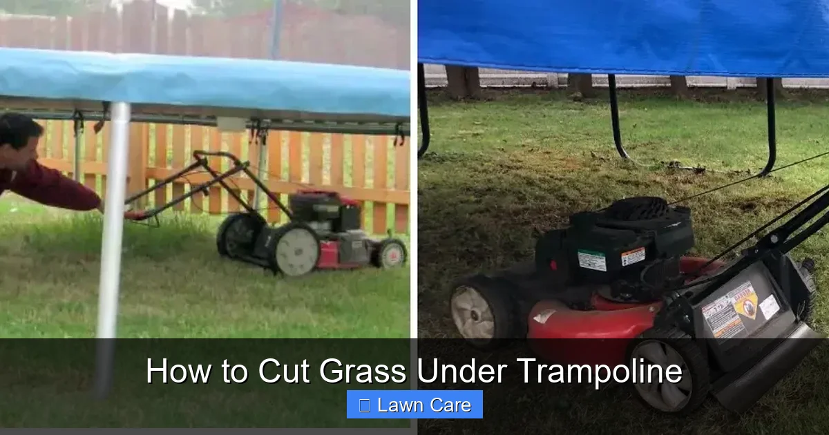 How to Cut Grass Under Trampoline