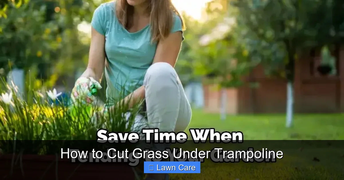 How to Cut Grass Under Trampoline