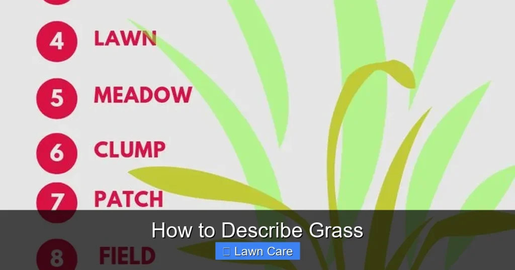 How to Describe Grass