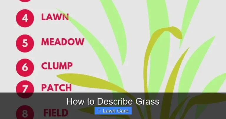 How to Describe Grass