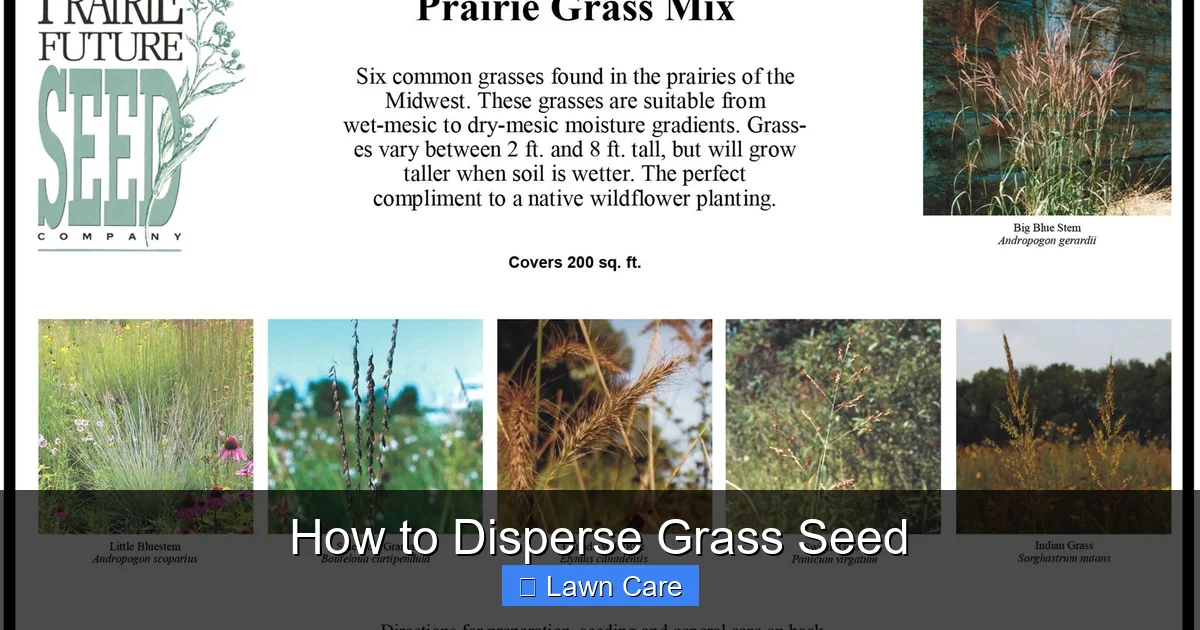 How to Disperse Grass Seed