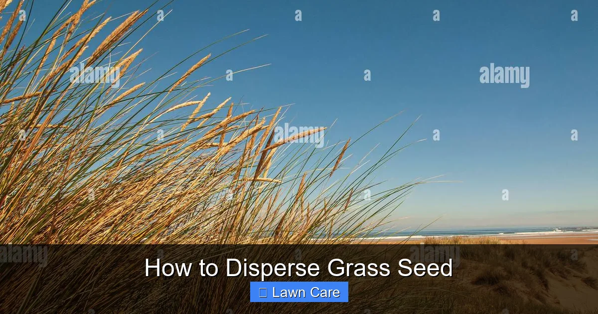 How to Disperse Grass Seed