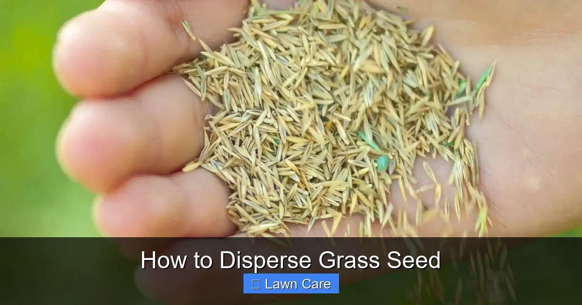 How to Disperse Grass Seed