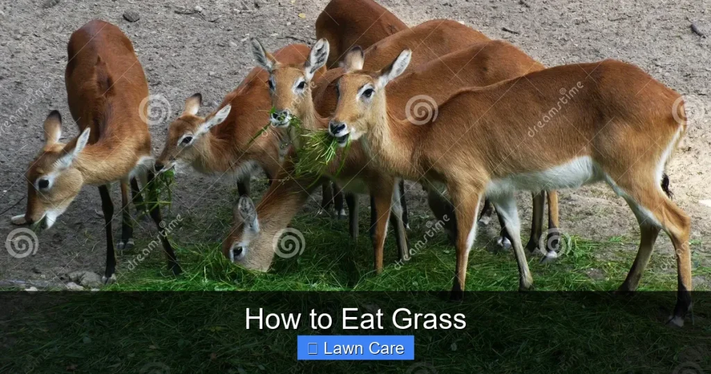 How to Eat Grass