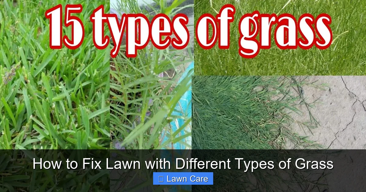 How to Fix Lawn with Different Types of Grass