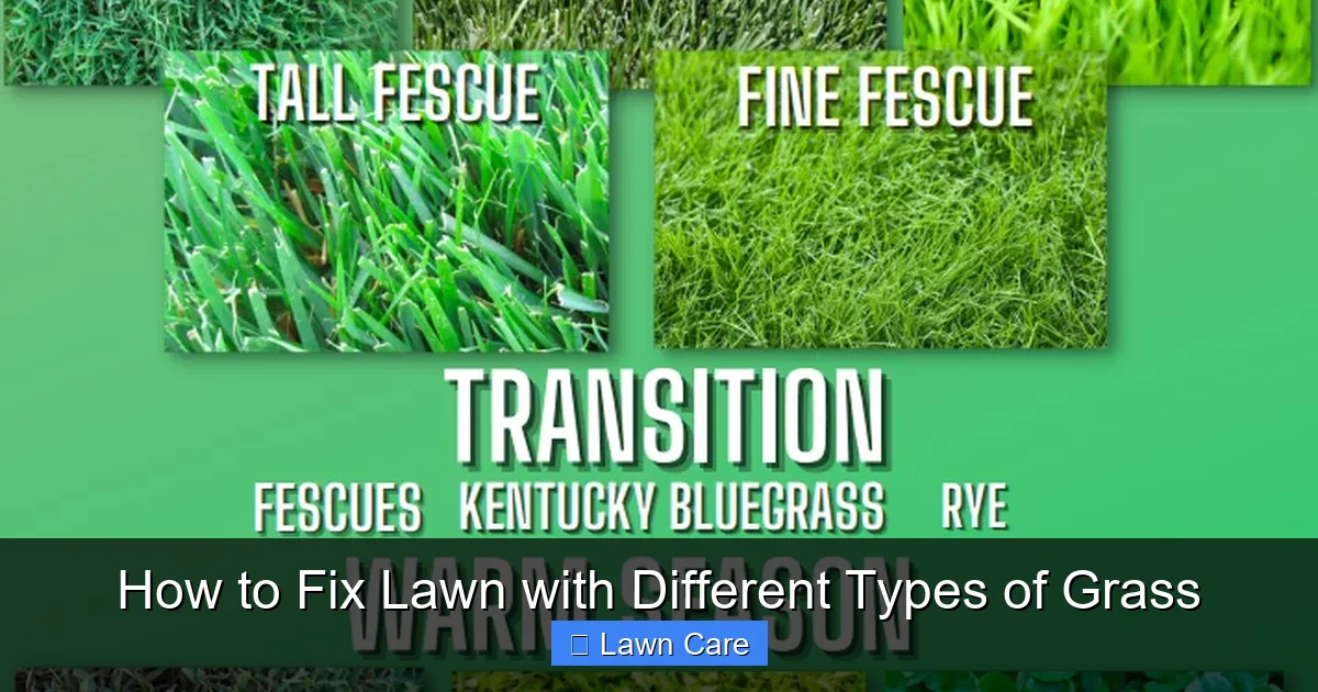 How to Fix Lawn with Different Types of Grass