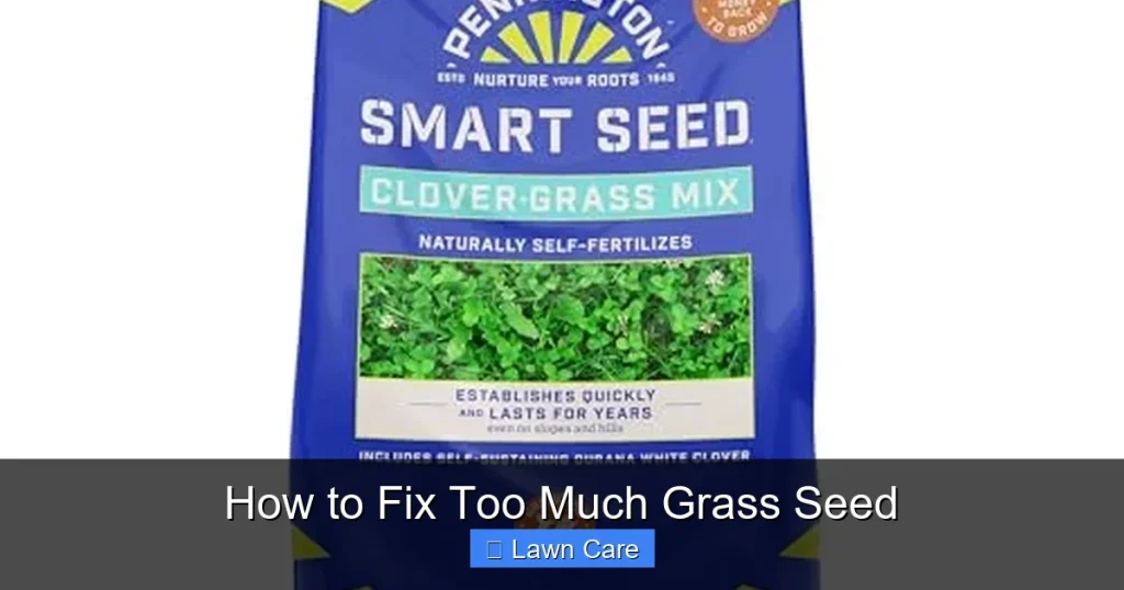 How to Fix Too Much Grass Seed