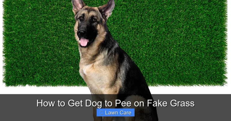 How to Get Dog to Pee on Fake Grass