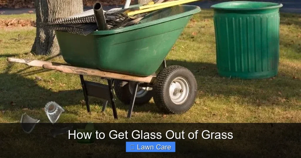 How to Get Glass Out of Grass
