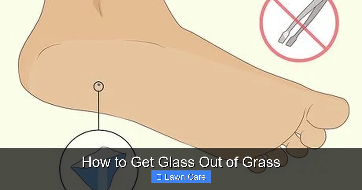 How to Get Glass Out of Grass