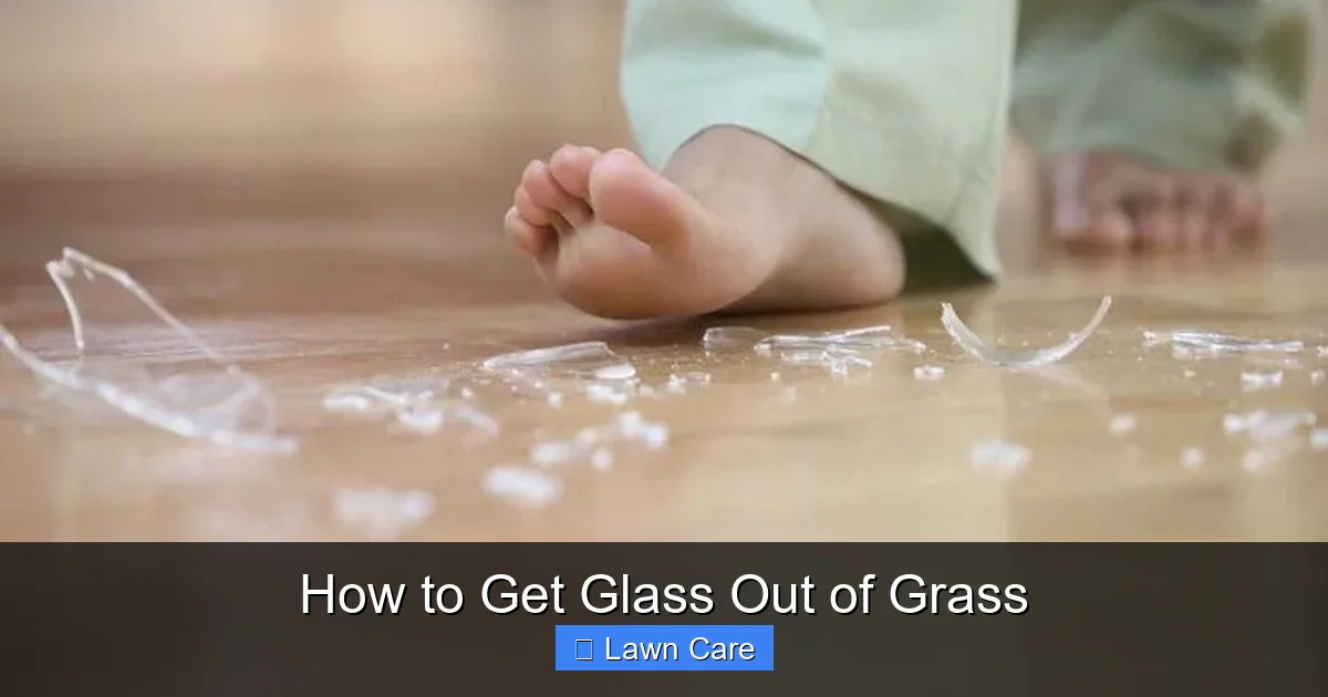 How to Get Glass Out of Grass