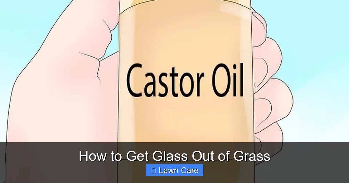 How to Get Glass Out of Grass