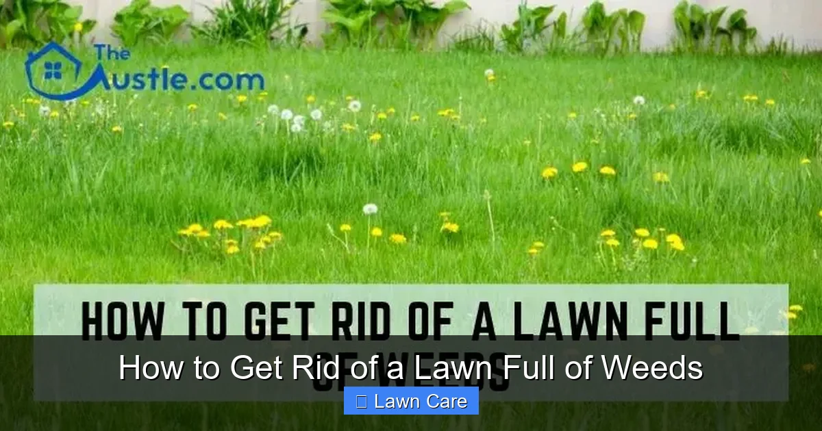 How to Get Rid of a Lawn Full of Weeds