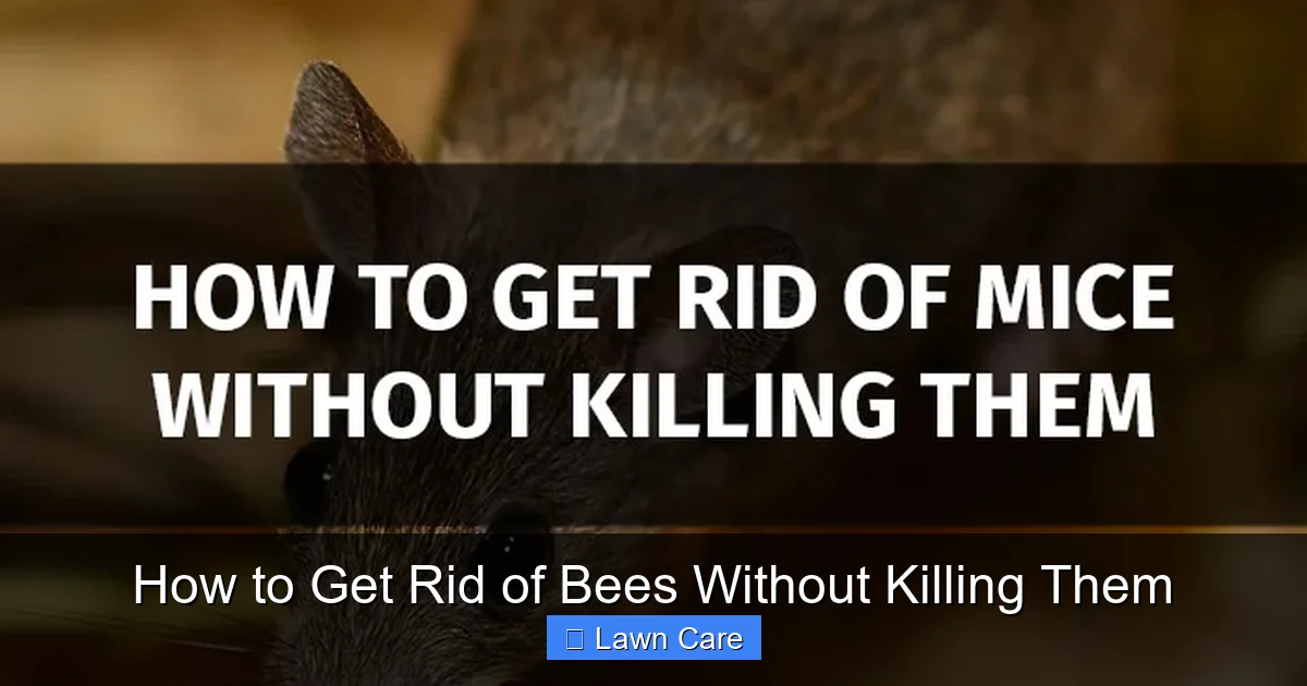 How to Get Rid of Bees Without Killing Them