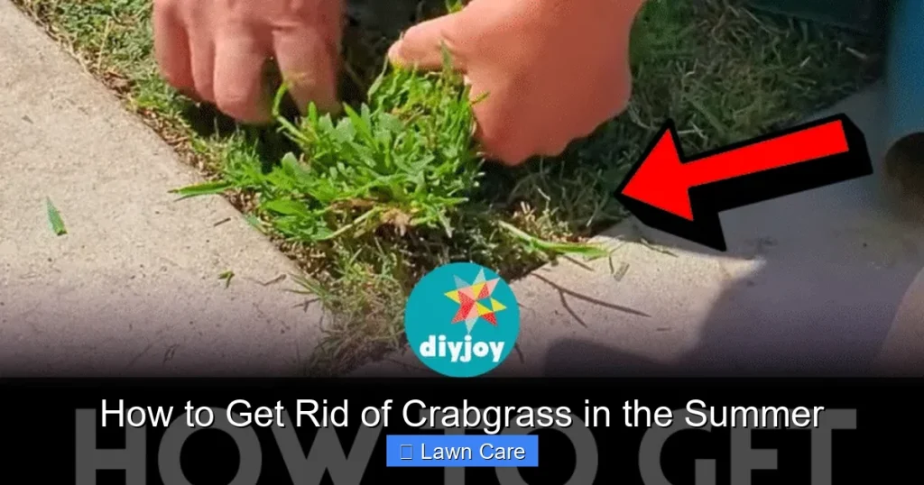 How to Get Rid of Crabgrass in the Summer
