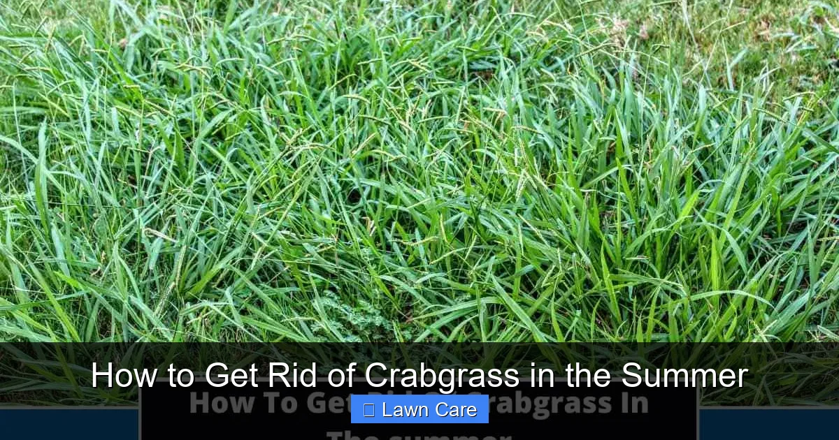 How to Get Rid of Crabgrass in the Summer