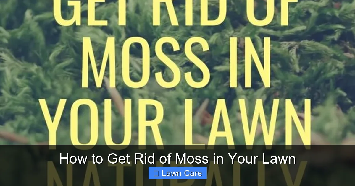 How to Get Rid of Moss in Your Lawn