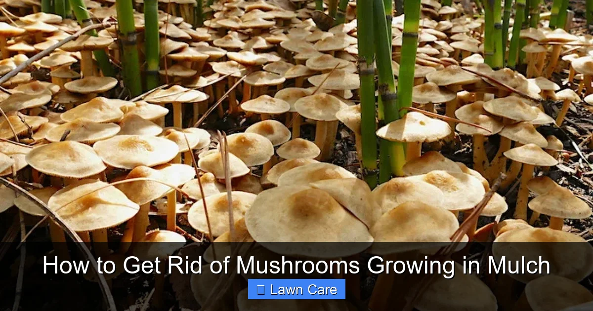 How to Get Rid of Mushrooms Growing in Mulch