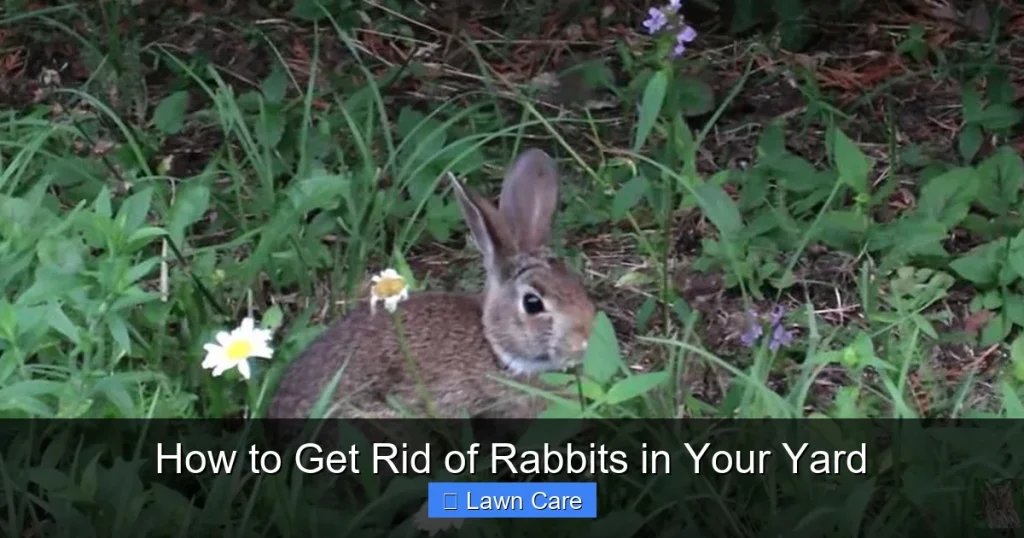 How to Get Rid of Rabbits in Your Yard