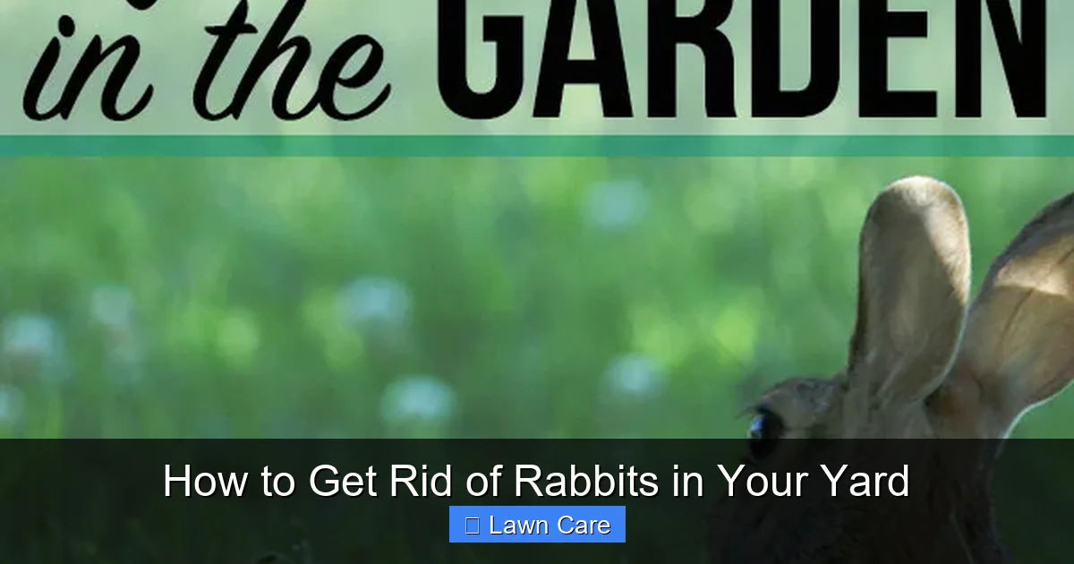 How to Get Rid of Rabbits in Your Yard