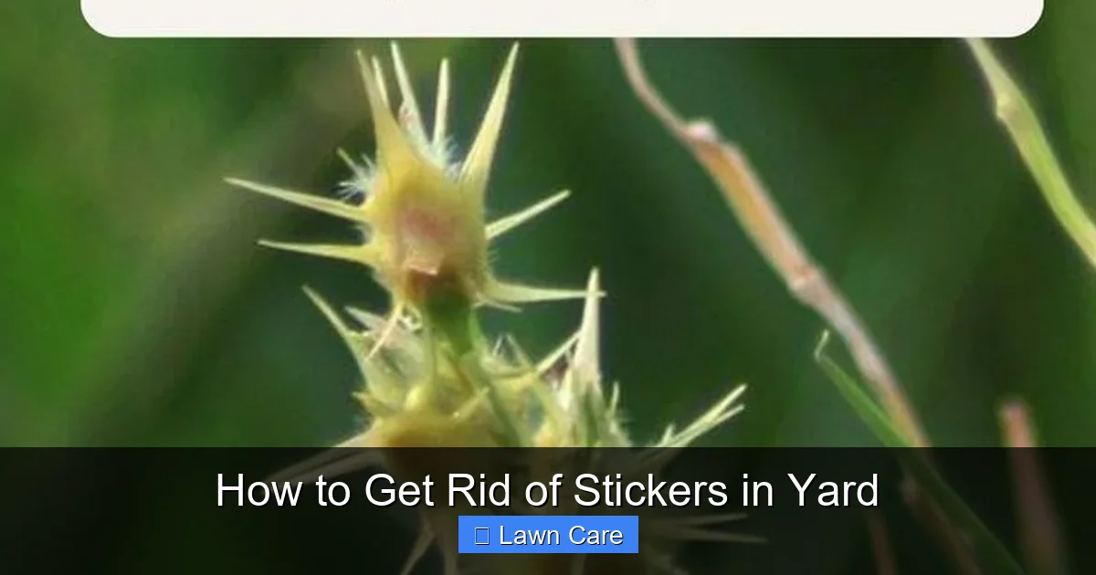 How to Get Rid of Stickers in Yard