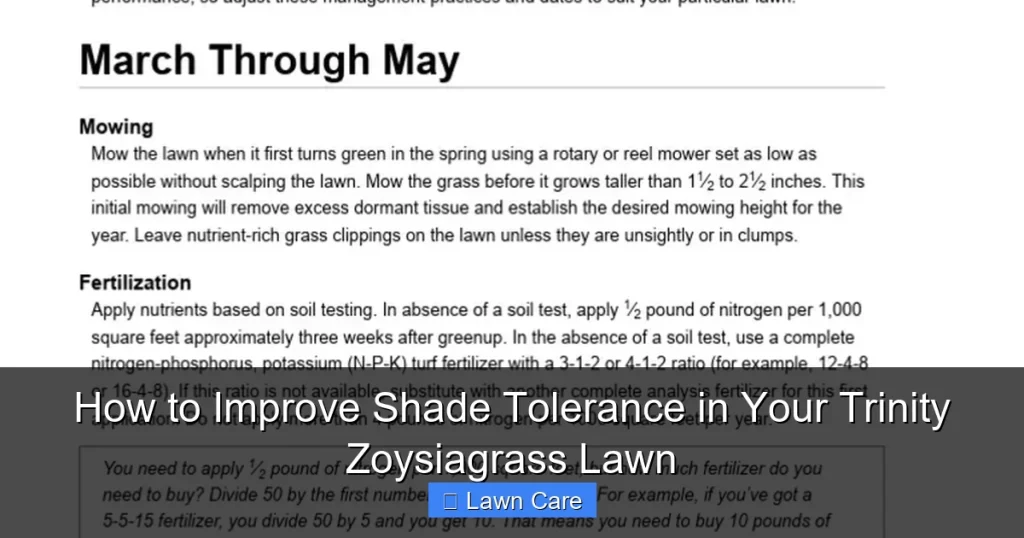 How to Improve Shade Tolerance in Your Trinity Zoysiagrass Lawn