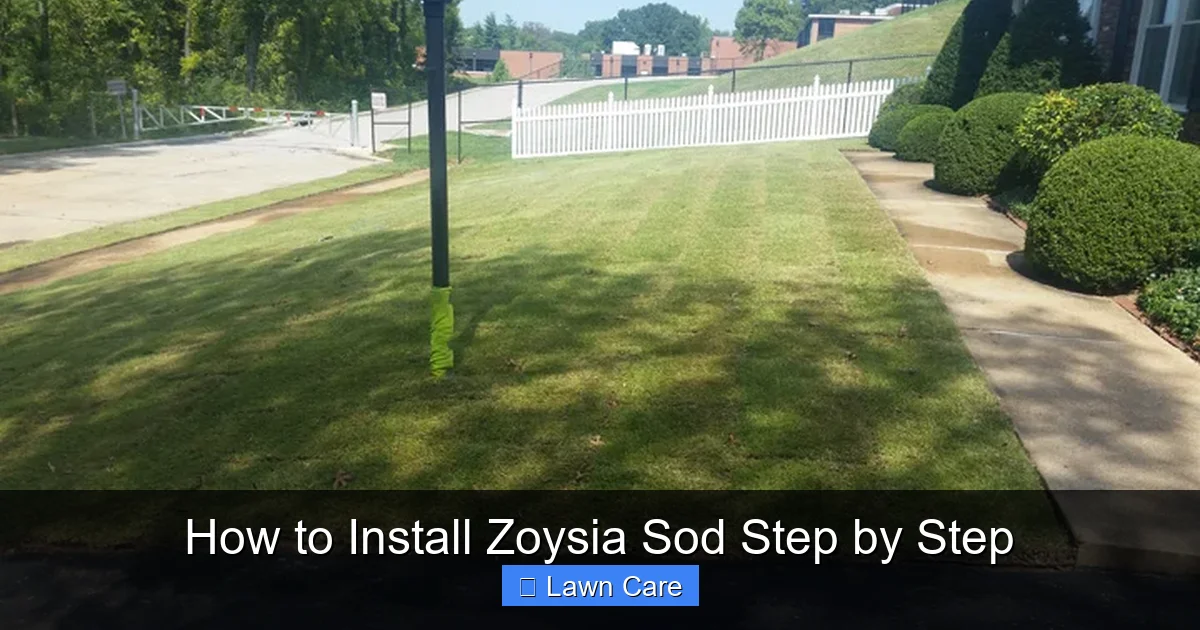 How to Install Zoysia Sod Step by Step
