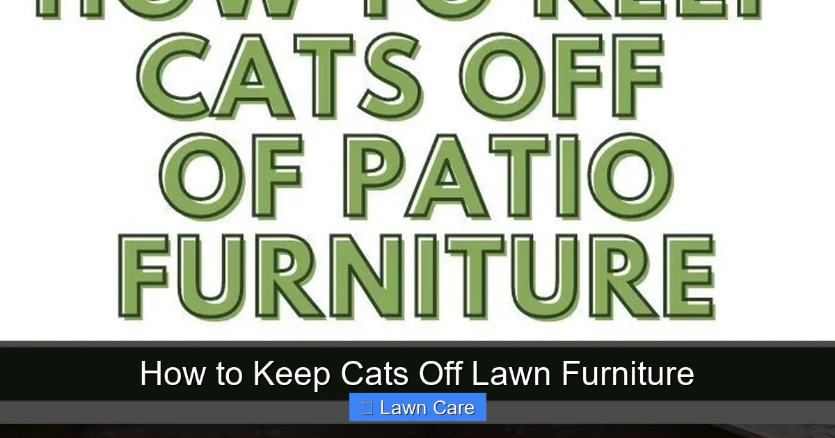 How to Keep Cats Off Lawn Furniture