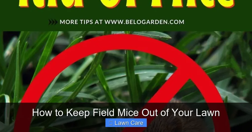 How to Keep Field Mice Out of Your Lawn