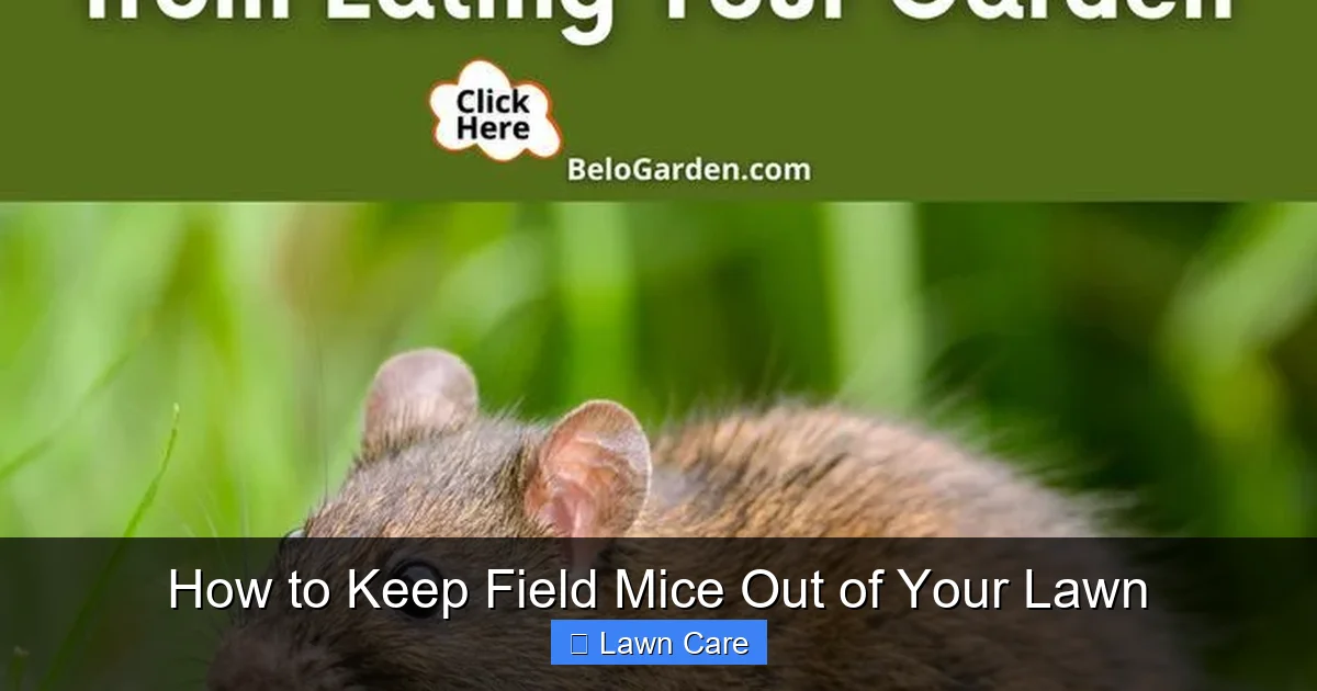 How to Keep Field Mice Out of Your Lawn
