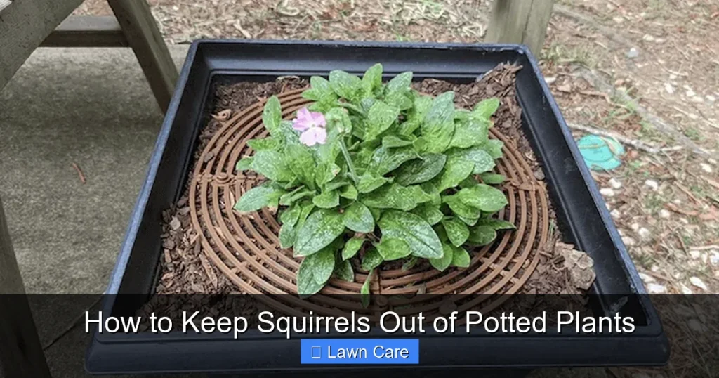 How to Keep Squirrels Out of Potted Plants