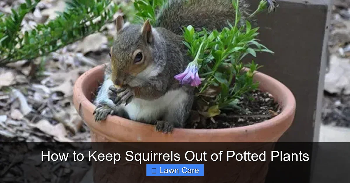 How to Keep Squirrels Out of Potted Plants