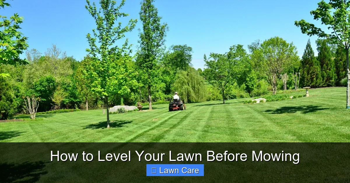 How to Level Your Lawn Before Mowing