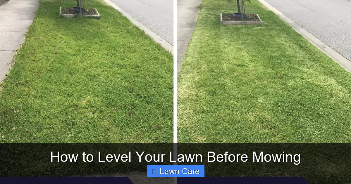 How to Level Your Lawn Before Mowing