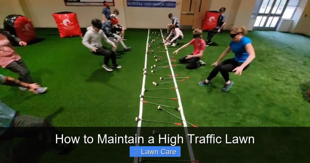 How to Maintain a High Traffic Lawn