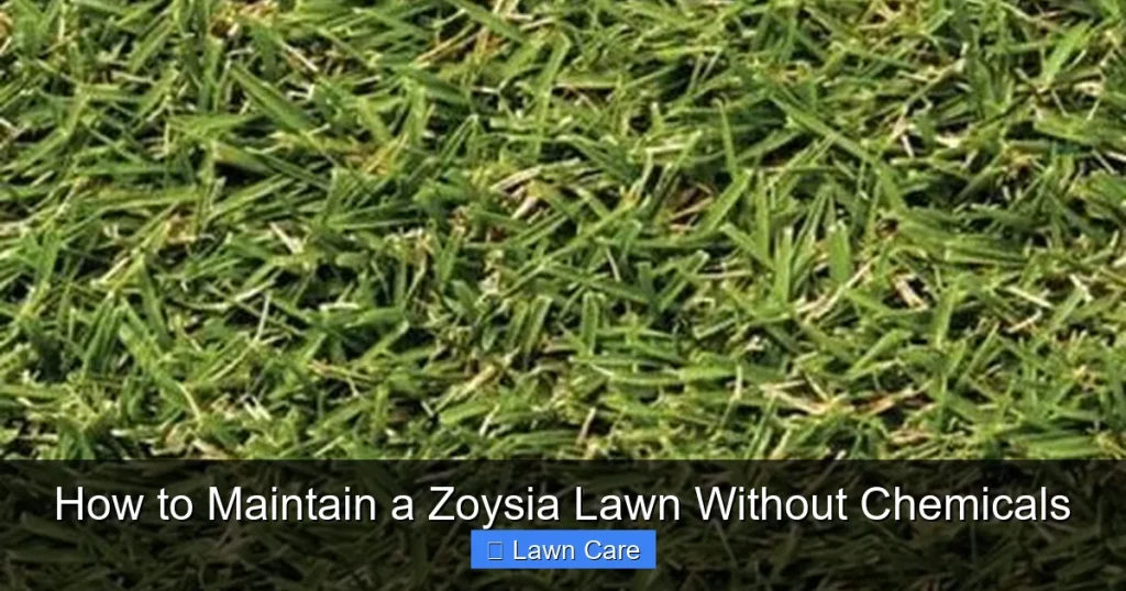 How to Maintain a Zoysia Lawn Without Chemicals