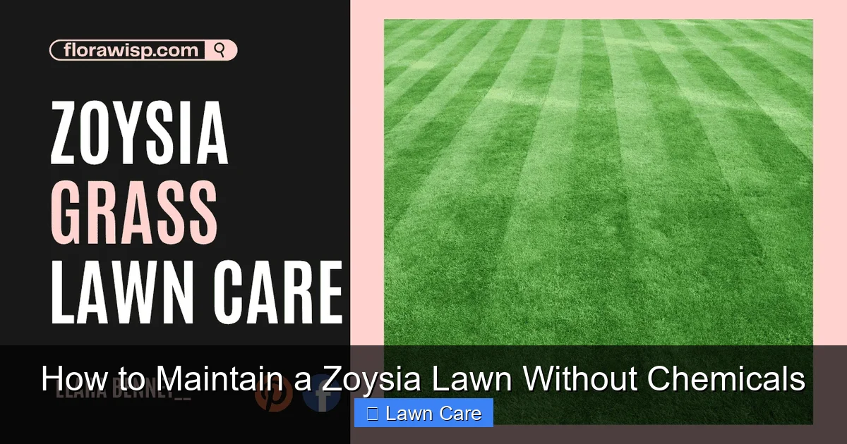 How to Maintain a Zoysia Lawn Without Chemicals