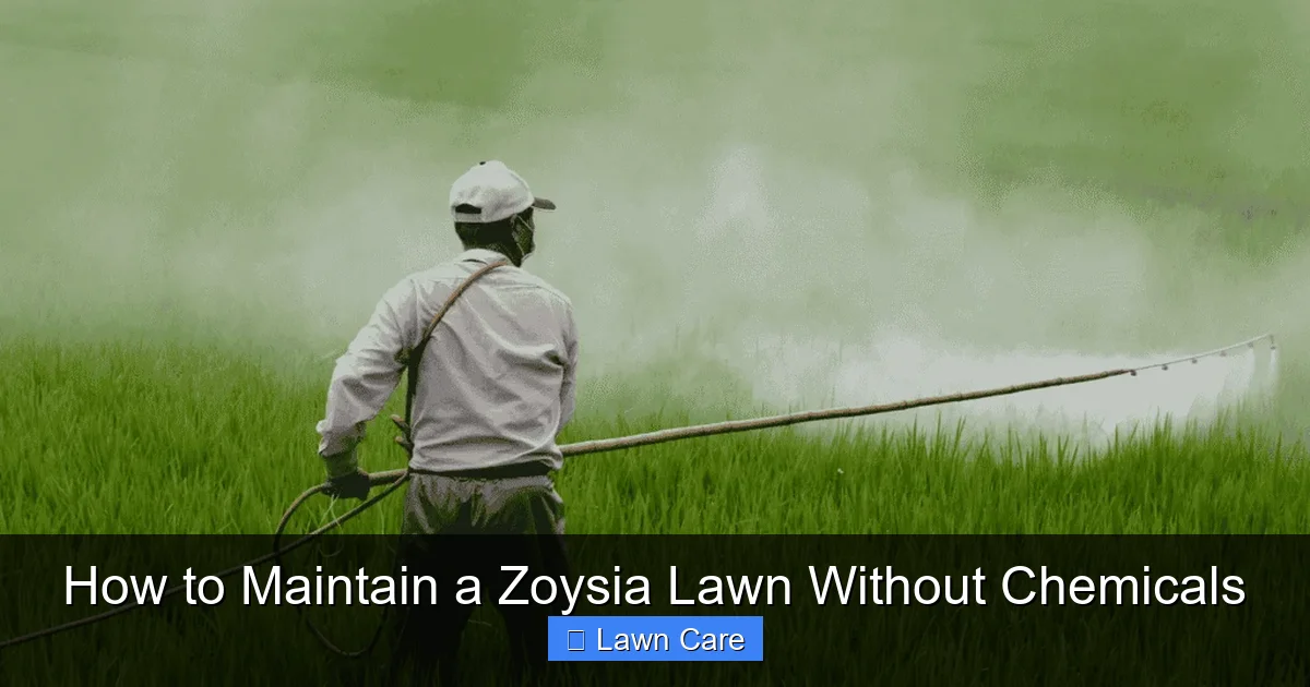 How to Maintain a Zoysia Lawn Without Chemicals