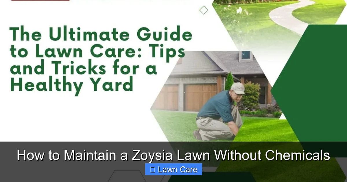 How to Maintain a Zoysia Lawn Without Chemicals