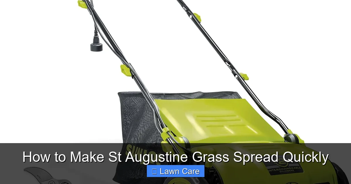How to Make St Augustine Grass Spread Quickly
