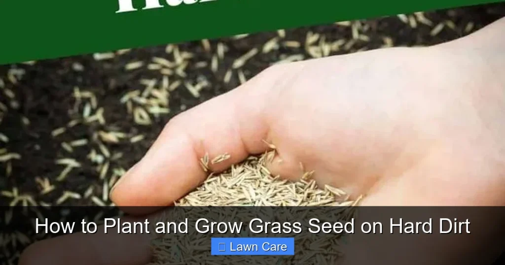 How to Plant and Grow Grass Seed on Hard Dirt