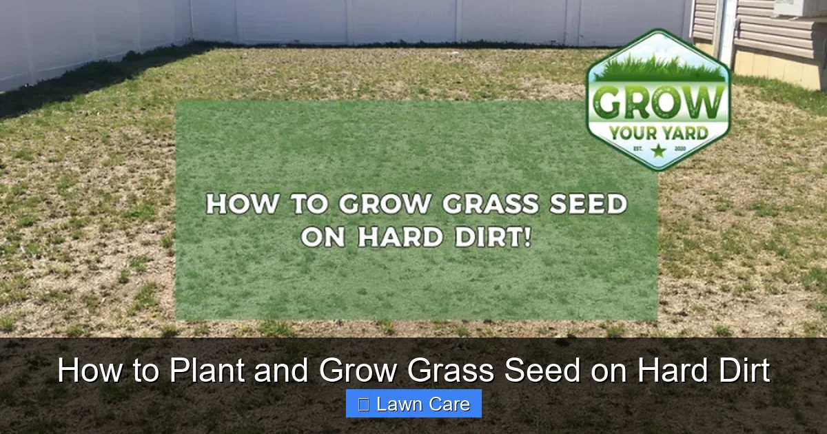How to Plant and Grow Grass Seed on Hard Dirt