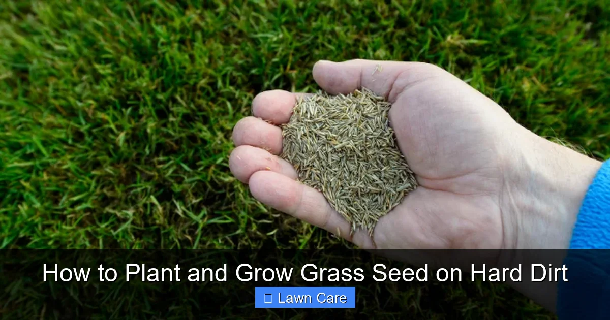 How to Plant and Grow Grass Seed on Hard Dirt