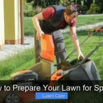 How to Prepare Your Lawn for Spring