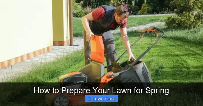 How to Prepare Your Lawn for Spring