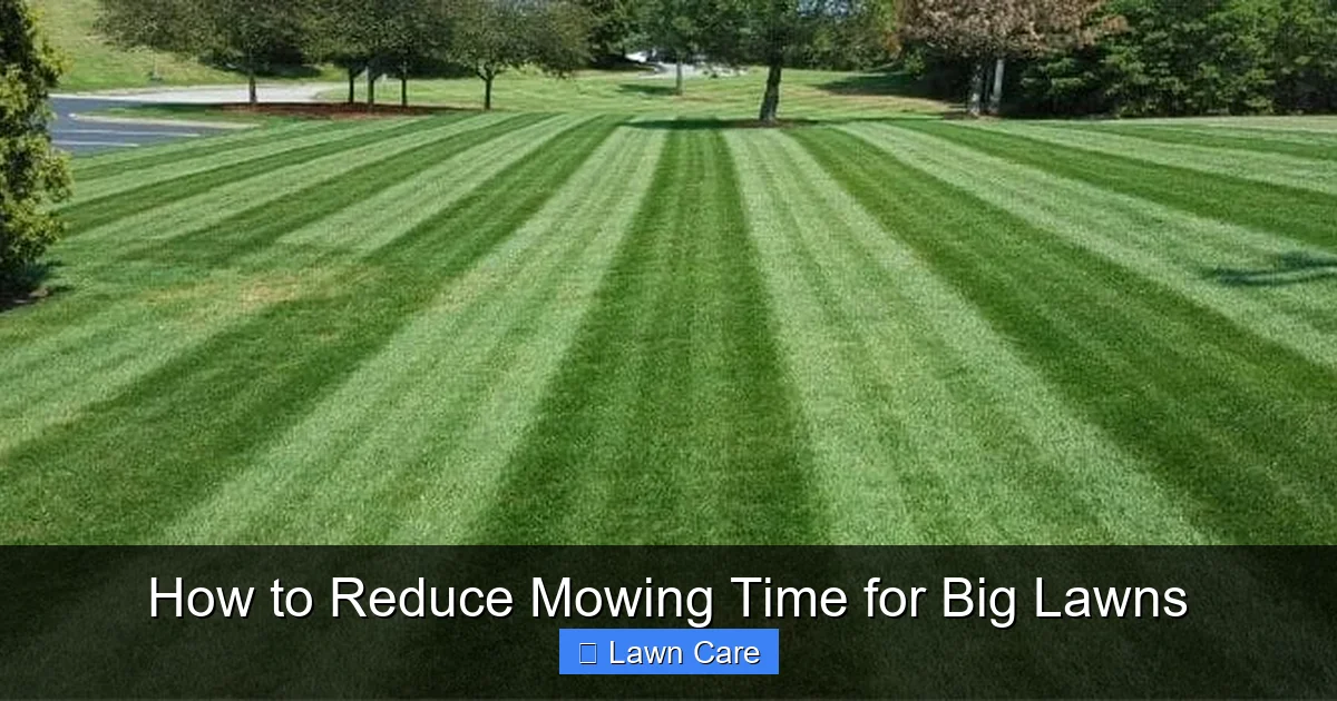 How to Reduce Mowing Time for Big Lawns