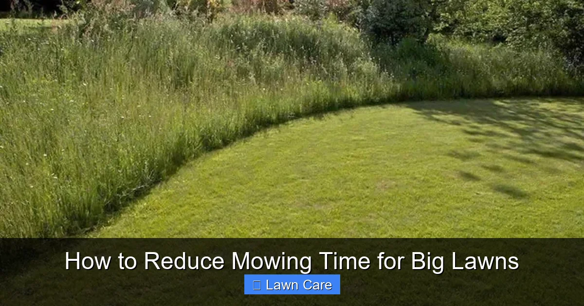How to Reduce Mowing Time for Big Lawns