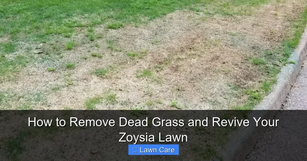 How to Remove Dead Grass and Revive Your Zoysia Lawn