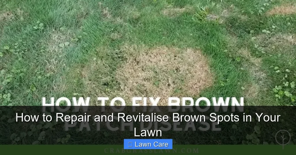 How to Repair and Revitalise Brown Spots in Your Lawn